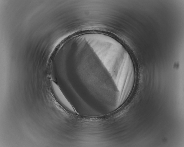 X0000114720830200911121731