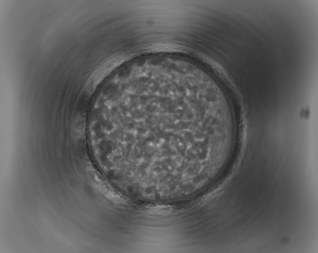 X0000114720833200911121731