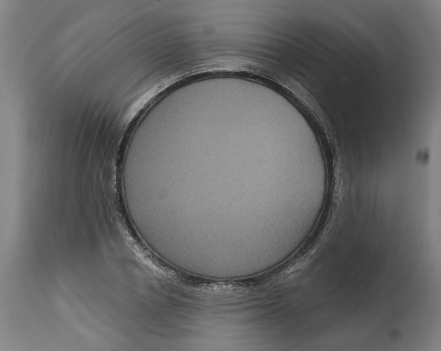 X0000114720834200911121731