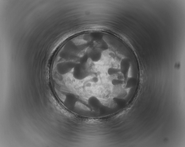 X0000114720835200911121731