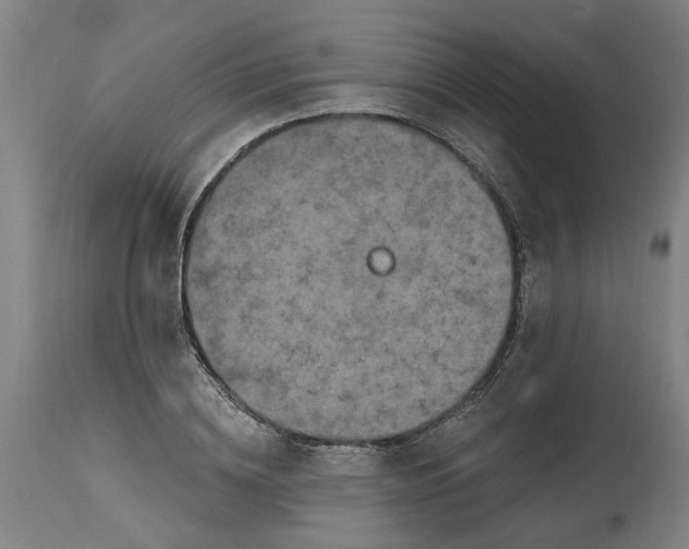 X0000114720836200911121731