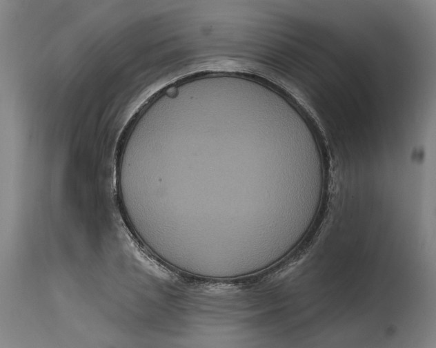 X0000114720837200911121731