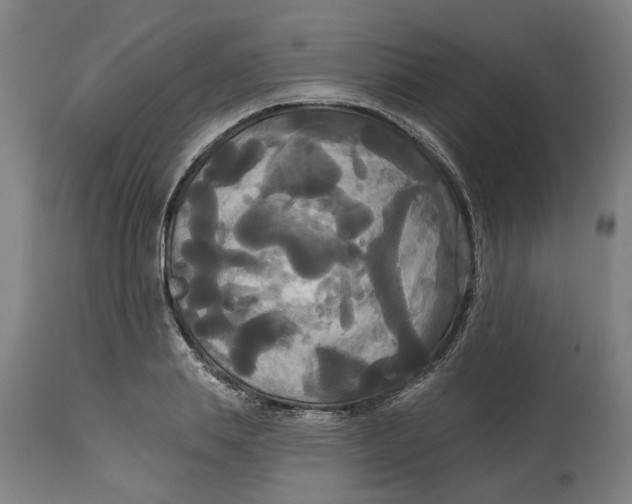 X0000114720839200911121731