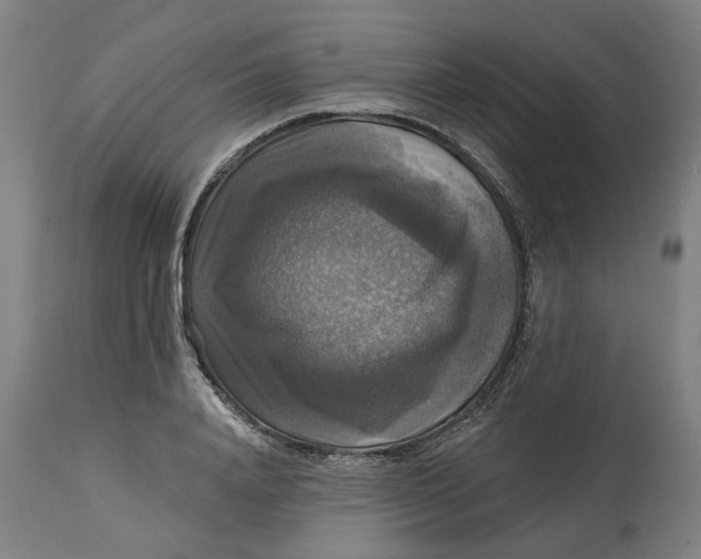 X0000114720840200911121731