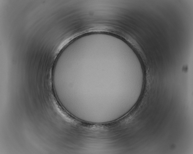 X0000114720842200911121731