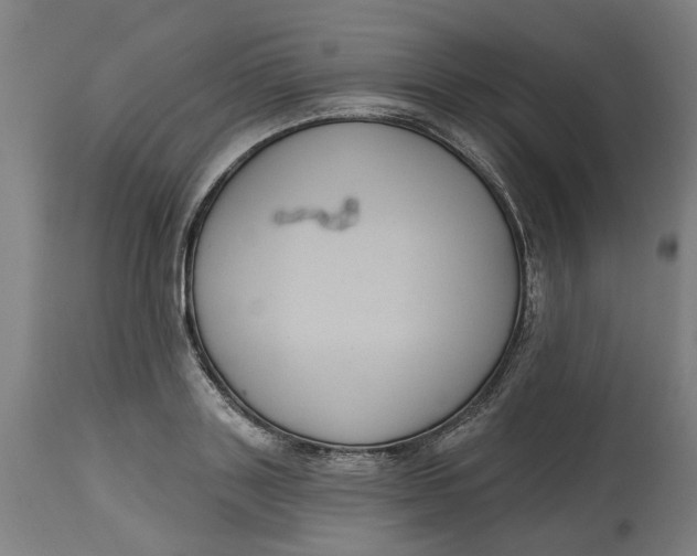 X0000114720843200911121731