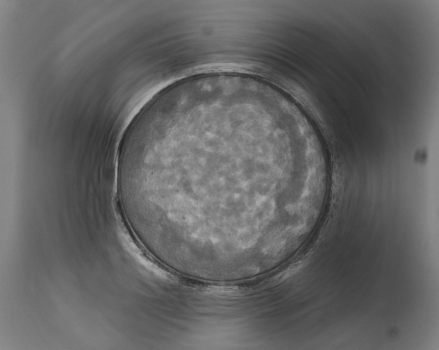 X0000114720844200911121731