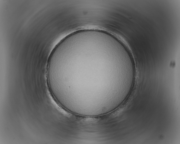 X0000114720847200911121731