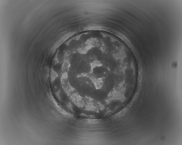 X0000114720849200911121731