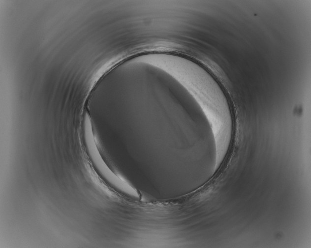 X0000114720850200911121731