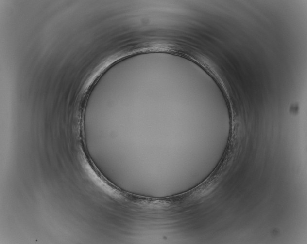 X0000114720851200911121731