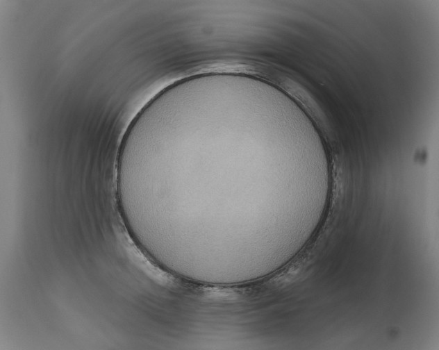 X0000114720852200911121731