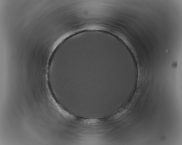 X0000114720853200911121731