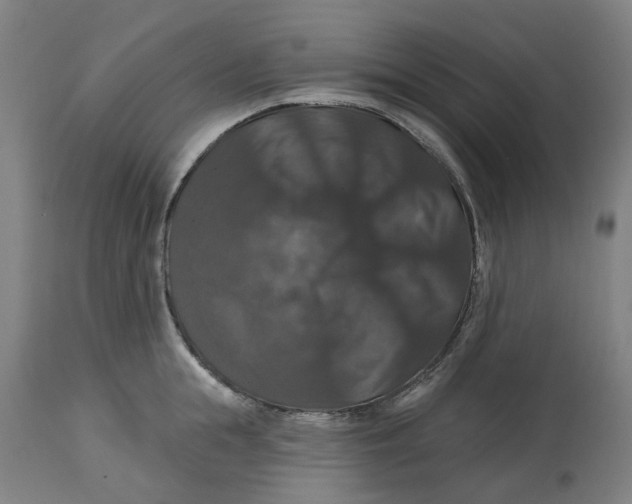 X0000114720855200911121731