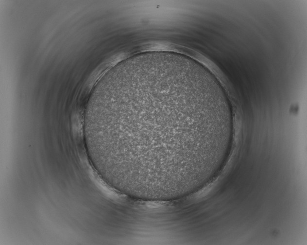 X0000114720857200911121731