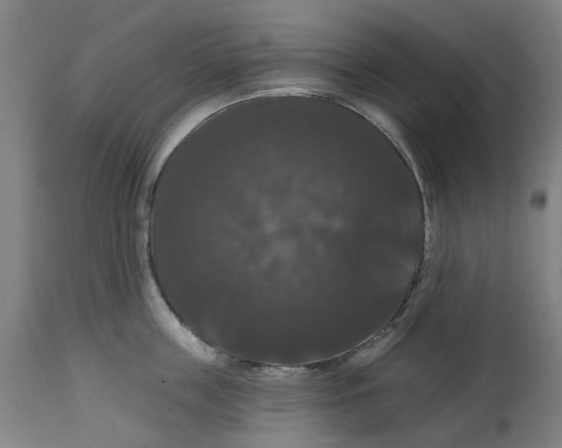 X0000114720859200911121731