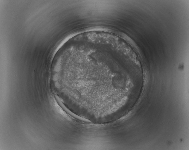 X0000114720860200911121731