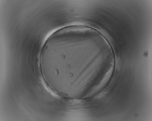 X0000114720862200911121731