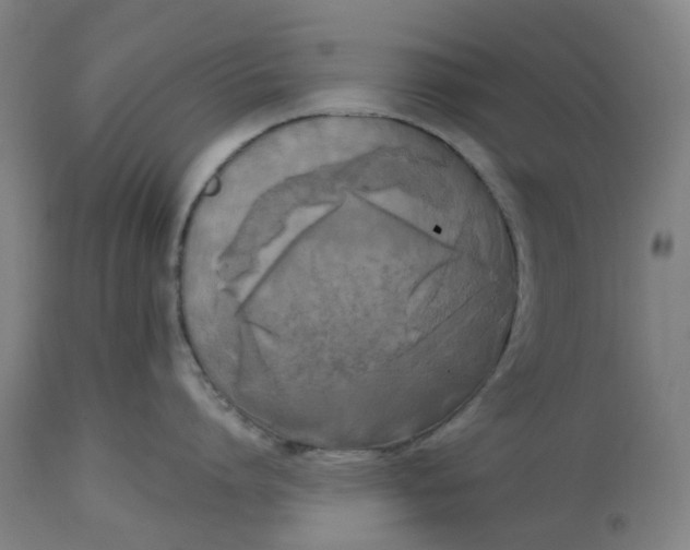 X0000114720864200911121731