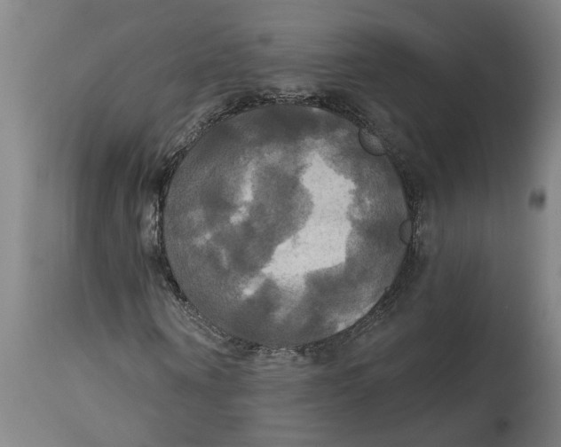 X0000114720866200911121730