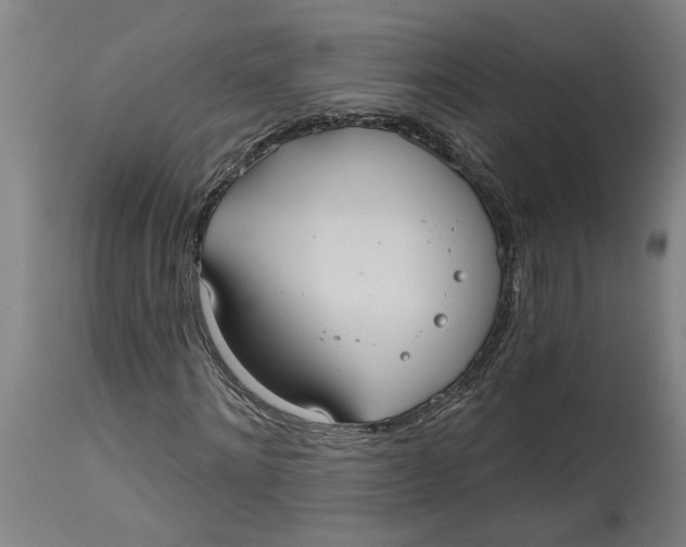 X0000114720868200911121730