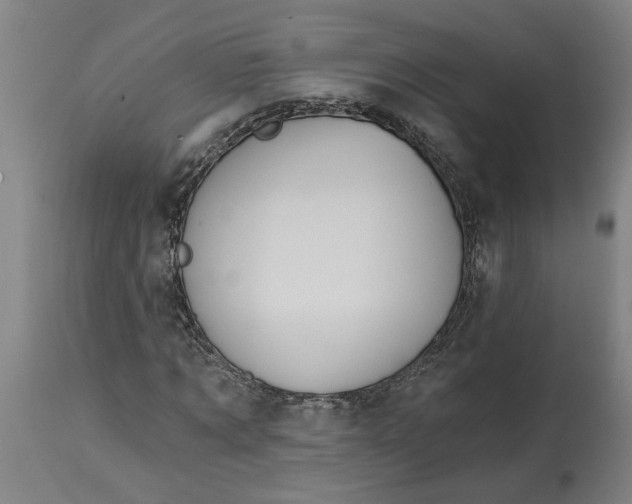 X0000114720869200911121730