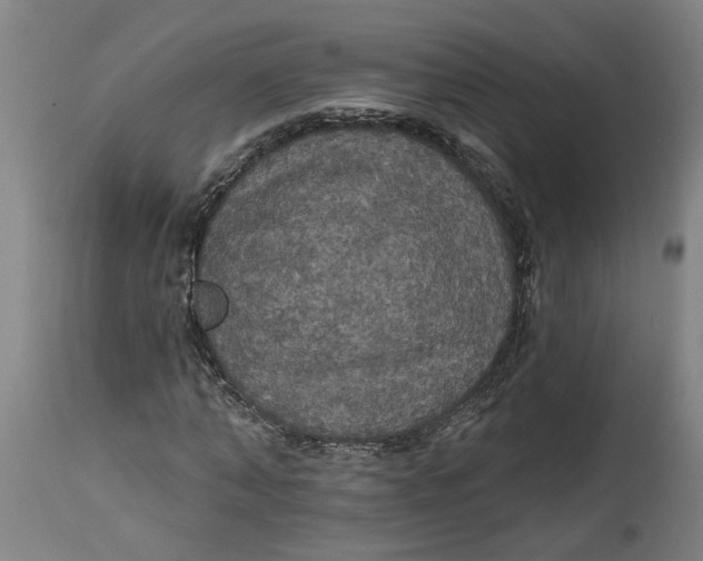 X0000114720870200911121730