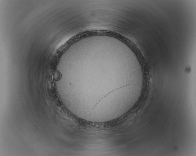 X0000114720871200911121730