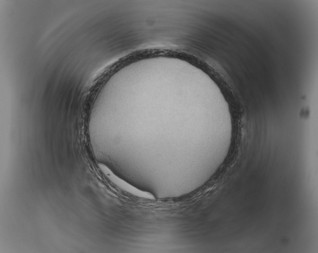 X0000114720872200911121730