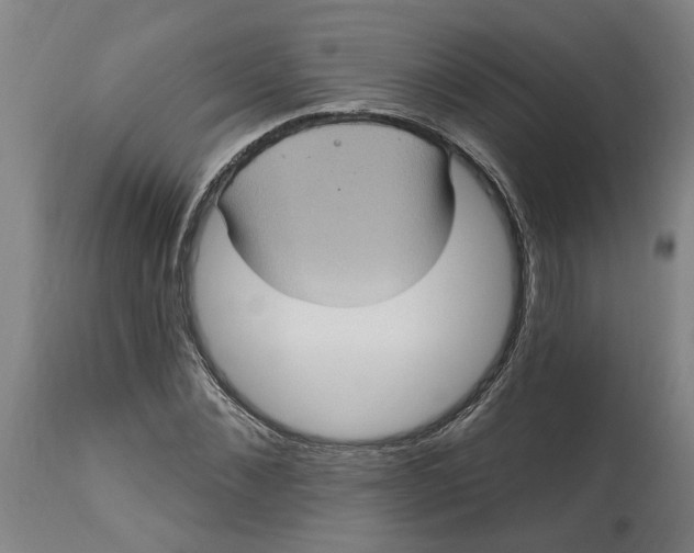 X0000114720876200911121730