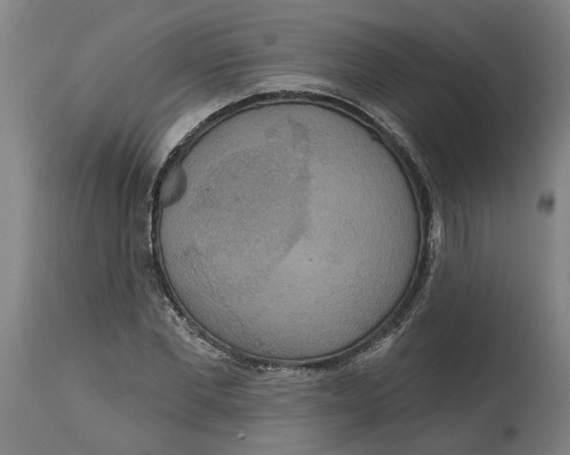 X0000114720877200911121730