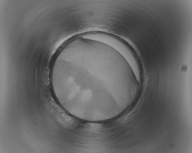 X0000114720878200911121730