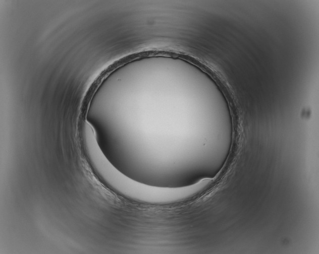 X0000114720880200911121730