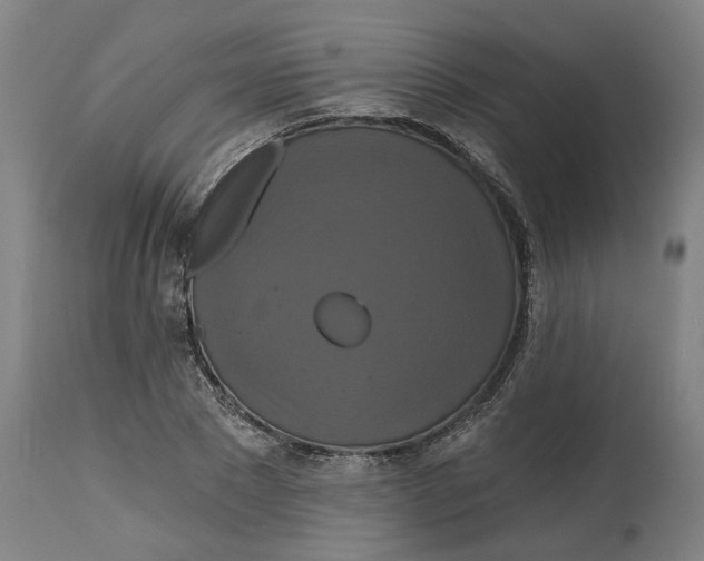 X0000114720881200911121730