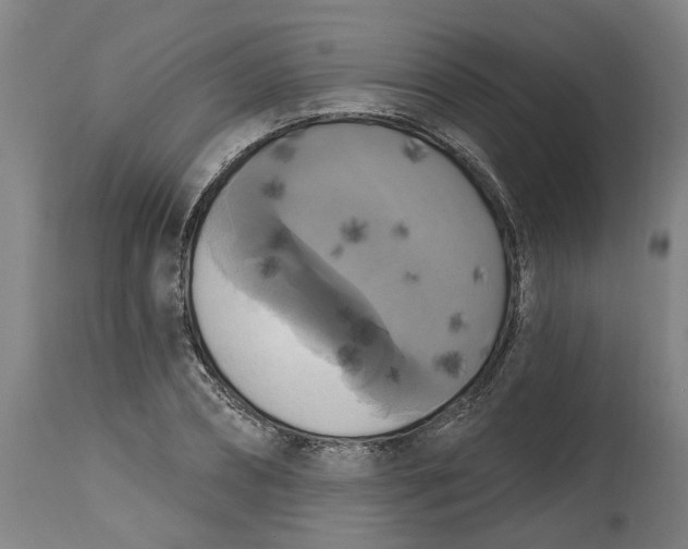 X0000114720882200911121730