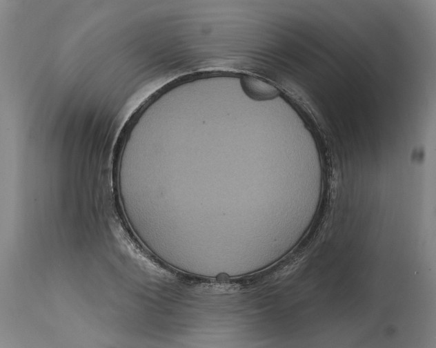 X0000114720884200911121730