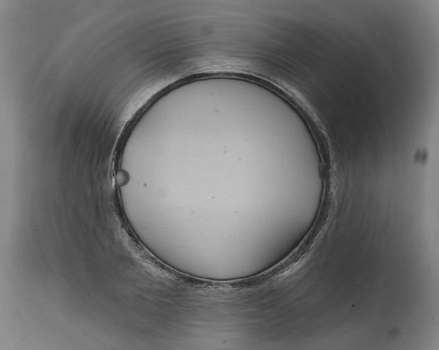 X0000114720885200911121730