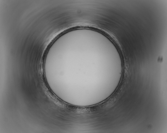 X0000114720887200911121730