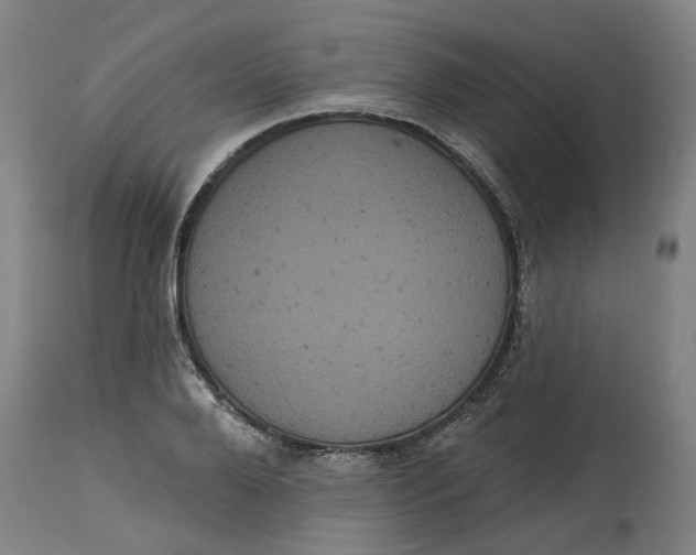 X0000114720888200911121730