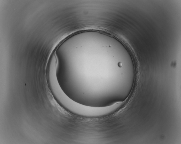 X0000114720892200911121730