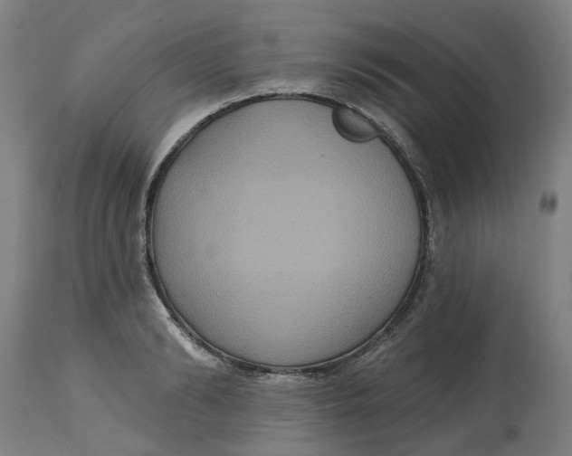 X0000114720894200911121730