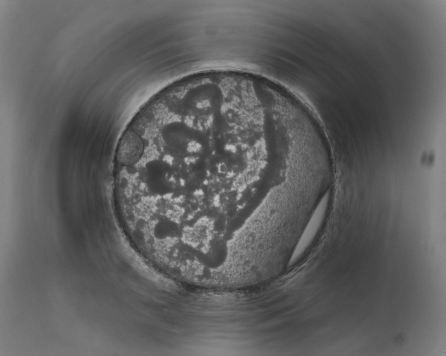 X0000114720895200911121730