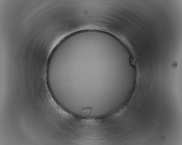 X0000114720896200911121730