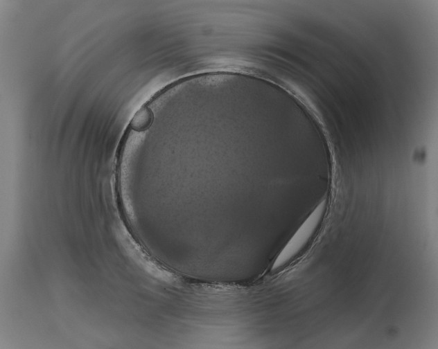 X0000114720899200911121730