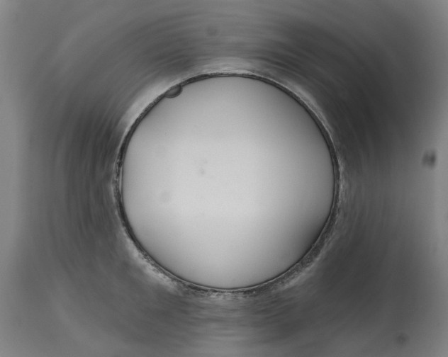 X0000114720901200911121730