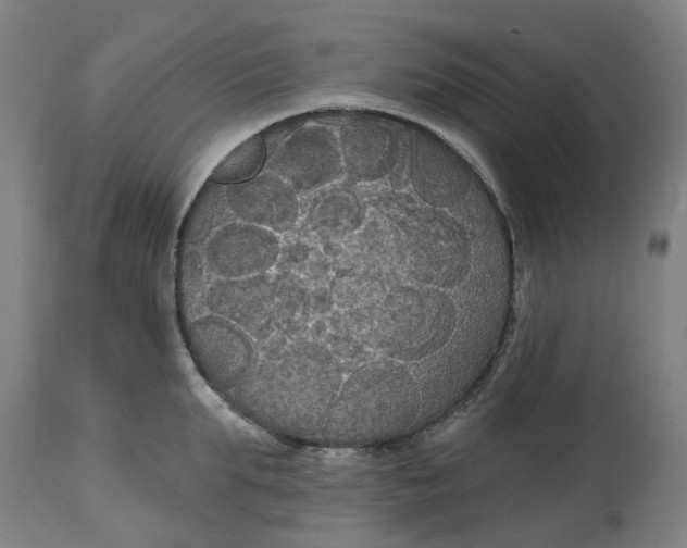 X0000114720903200911121730