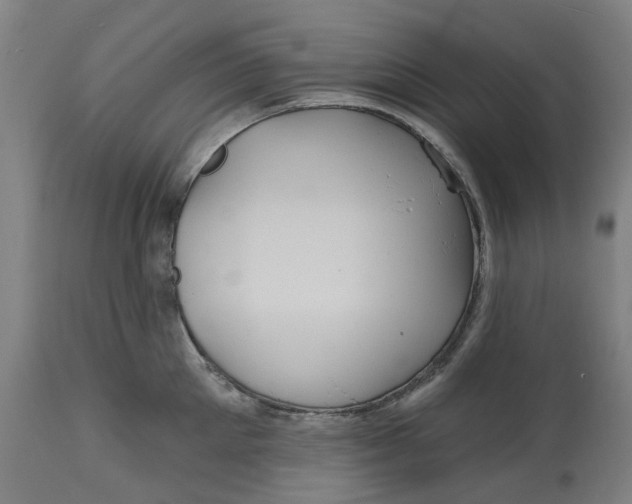 X0000114720905200911121730