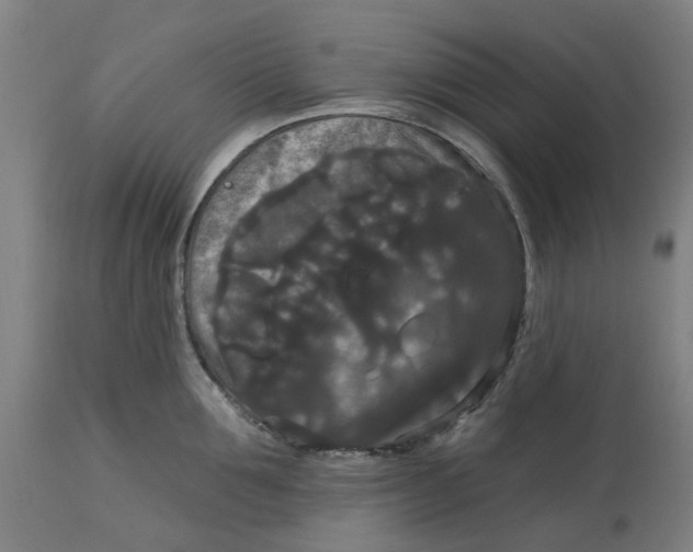 X0000114720907200911121730