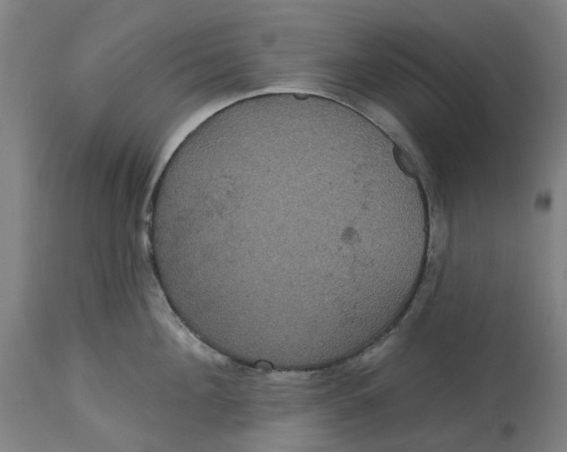 X0000114720908200911121730