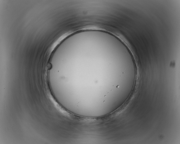 X0000114720909200911121730